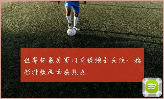 世界杯最厉害门将视频引关注,精彩扑救画面成焦点