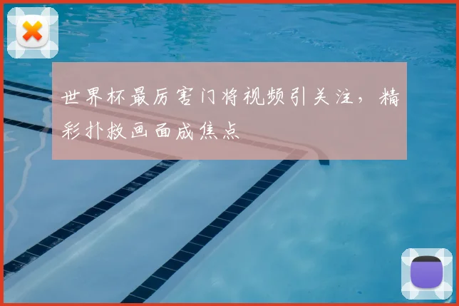 世界杯最厉害门将视频引关注,精彩扑救画面成焦点